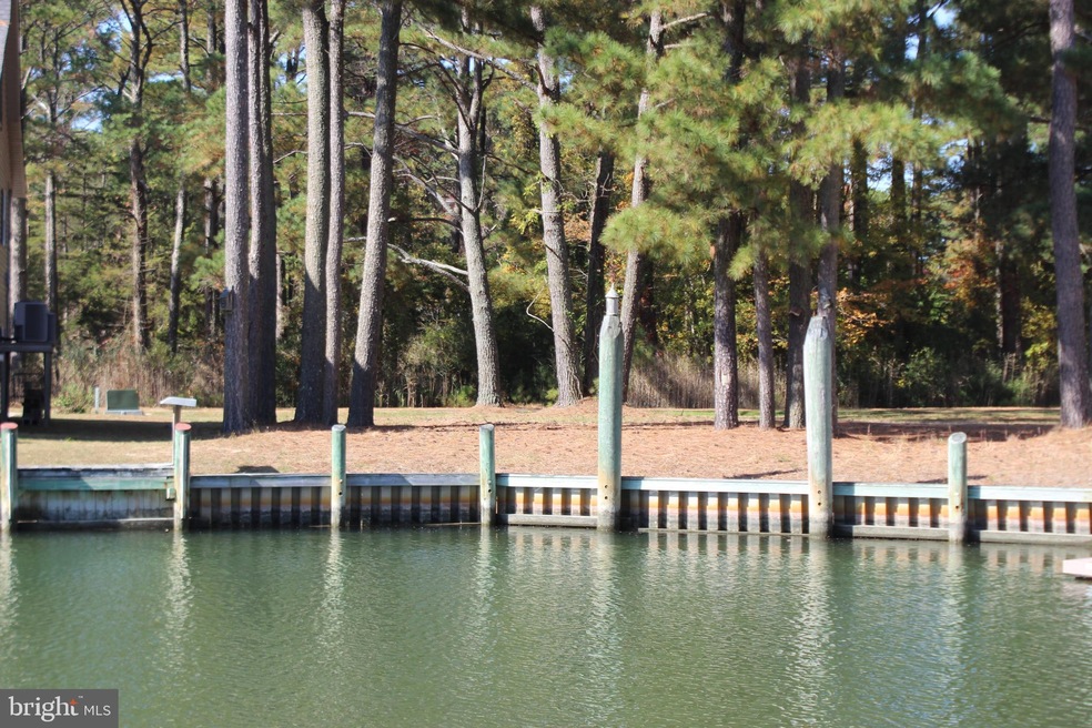 906 Broadside Dr, Greenbackville, VA 23356 - photo 1