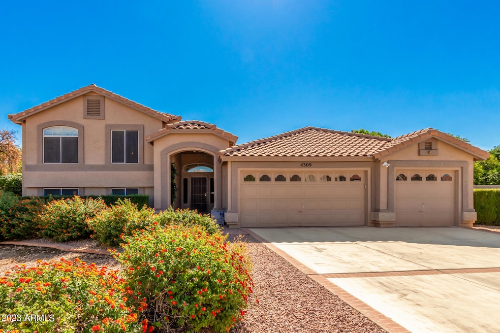 4309 E Hope St, Mesa, AZ 85205 - photo 1