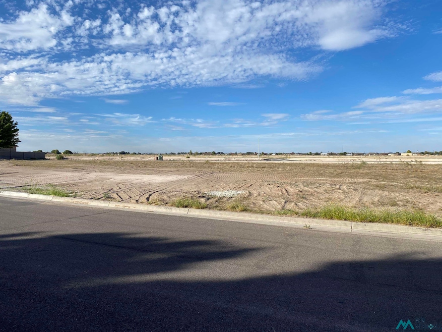 1120 W Brittany, Hobbs, NM 88240 - photo 1