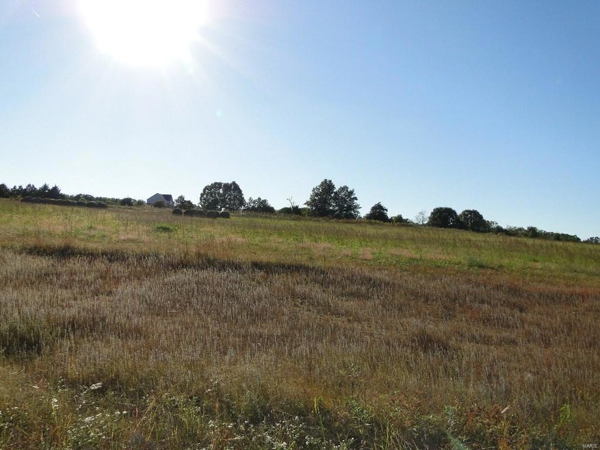 16725 Private Drive 2162 (Lot 11), Rolla, MO 65401 - photo 1