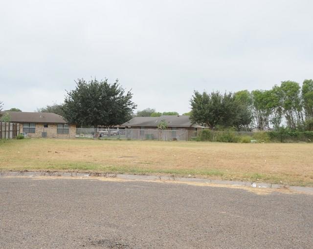841 N 7 1 2 St, Alamo, TX 78516 - photo 1