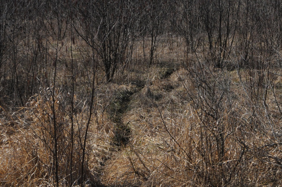 DSC_1383 (1)