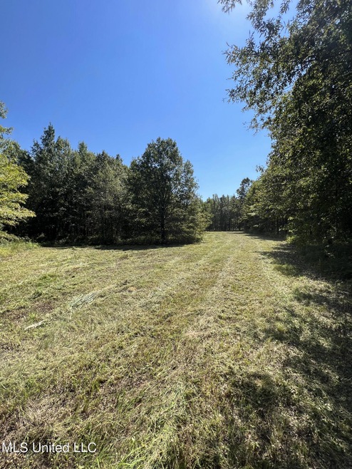 103 ACRES QUITMAN COUNTY