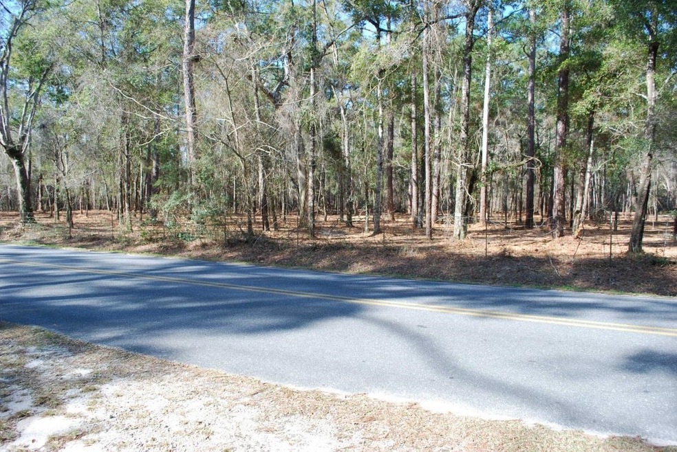 979 Lawhon Mill Rd, Crawfordville, FL 32327 - photo 1