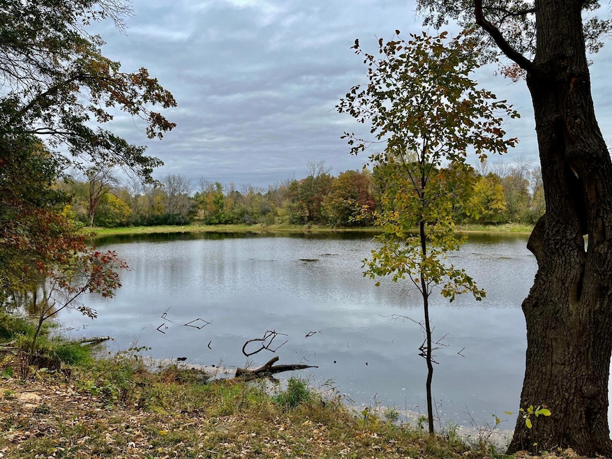 Soak in the tranquility as you sit by the edge of the peaceful pond.