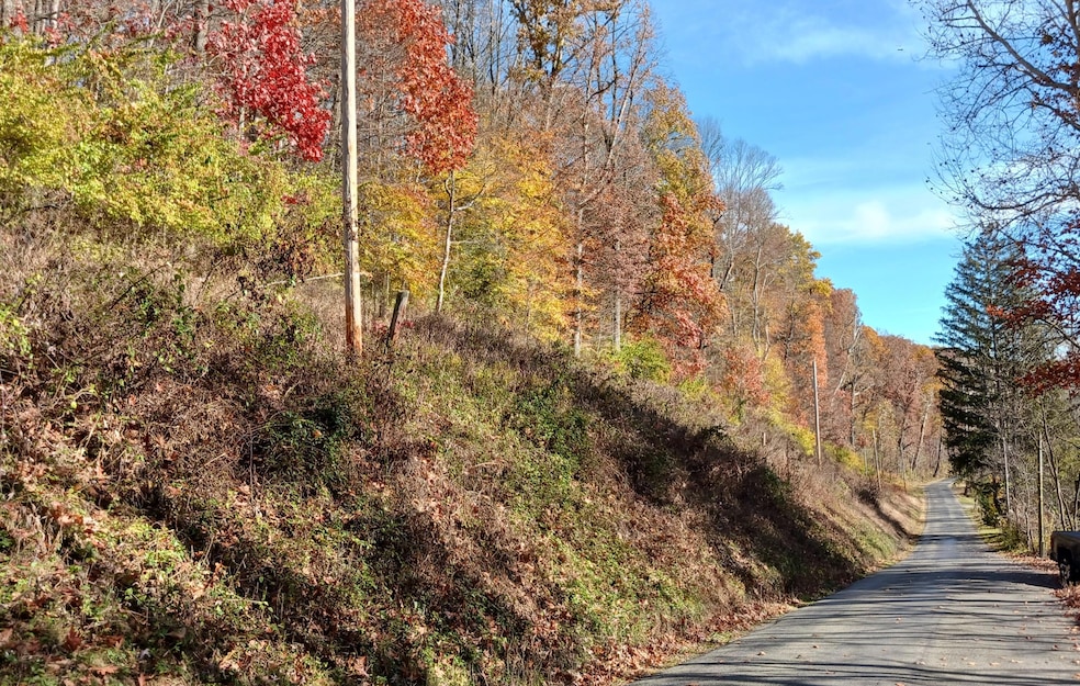 0 Lower Gambier Rd, Mount Vernon, OH 43050 - photo 1