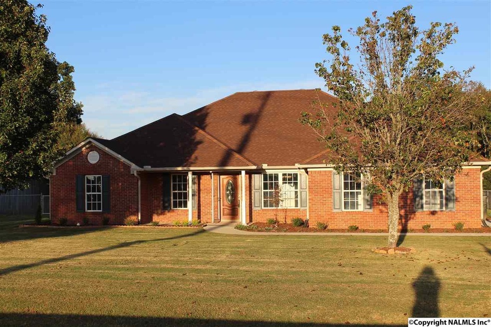 869 Macedonia Rd, Ardmore, AL 35739 - photo 1