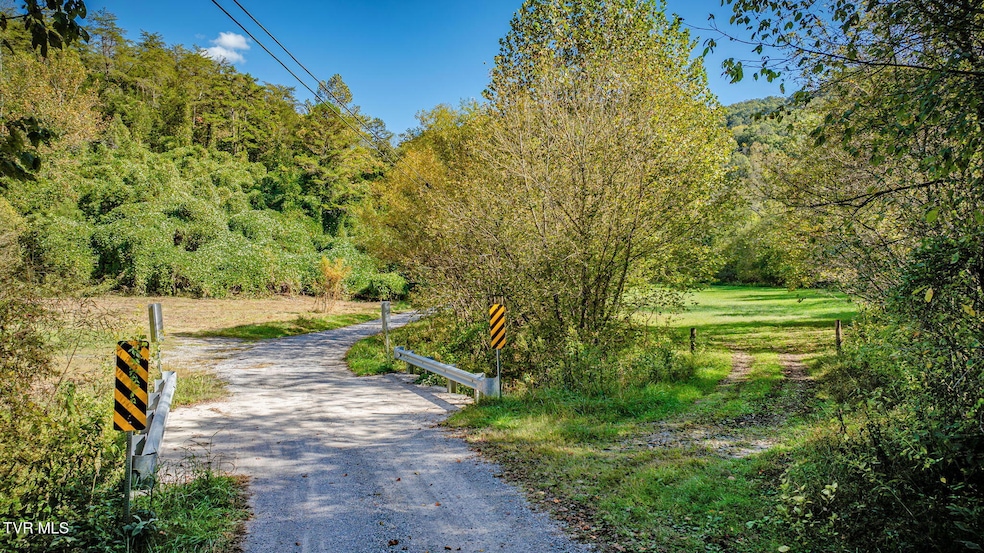 413 Willow Branch Rd, Bristol, VA 24202 - photo 1