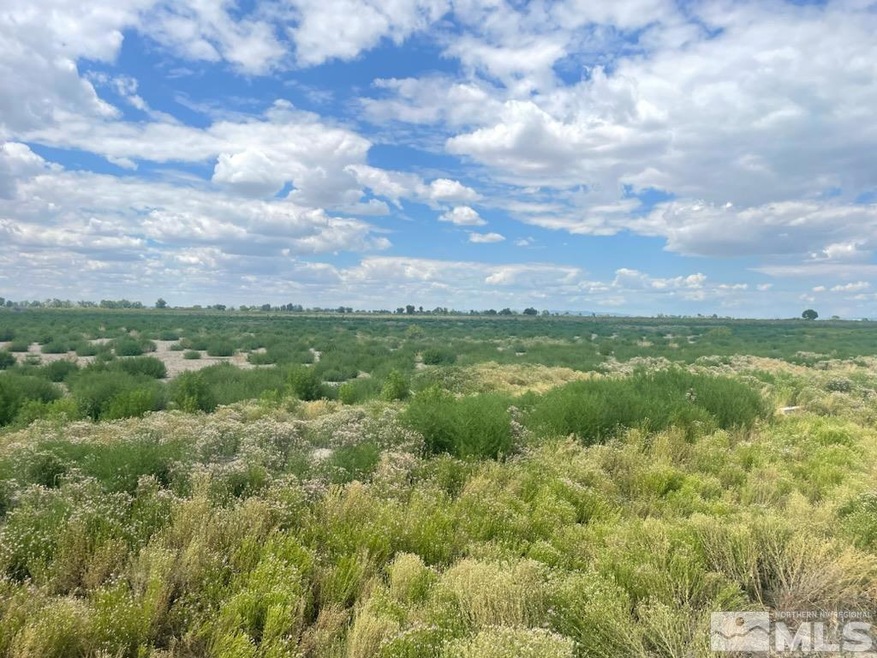 10019 Stillwater Rd, Fallon, NV 89406 - photo 1