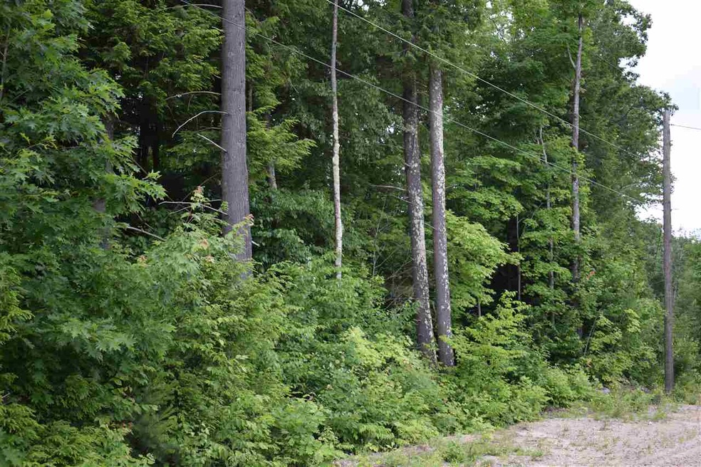 Sugar House Carr Rd, Hillsboro, NH 03244 - photo 1