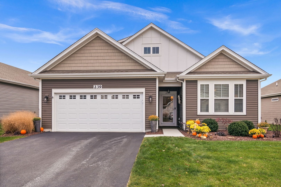 239 Durham St, North Aurora, IL 60542 - photo 1