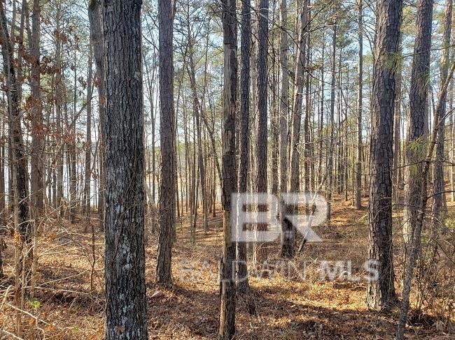 0 Stillwater Ln unit 13 385461, Double Springs, AL 35553 - photo 1