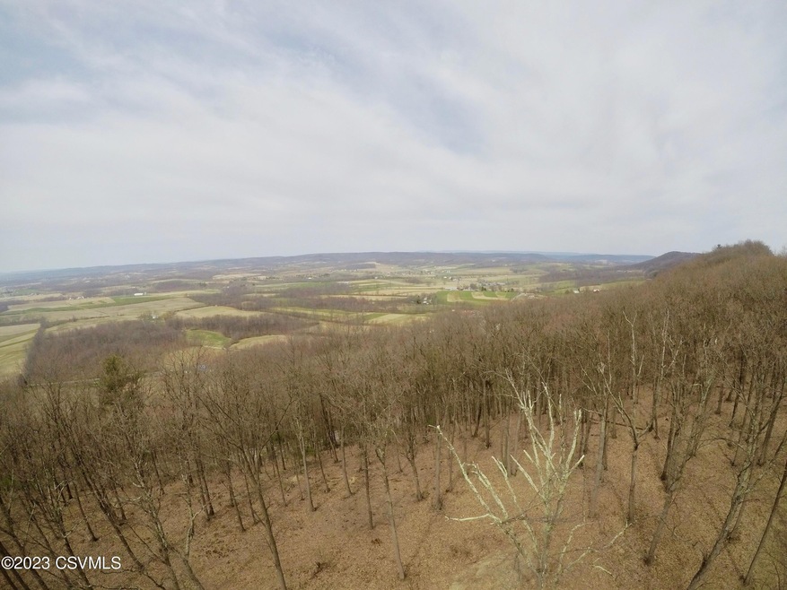 90 Danville Rd, Madison Township, PA 17815 - photo 1