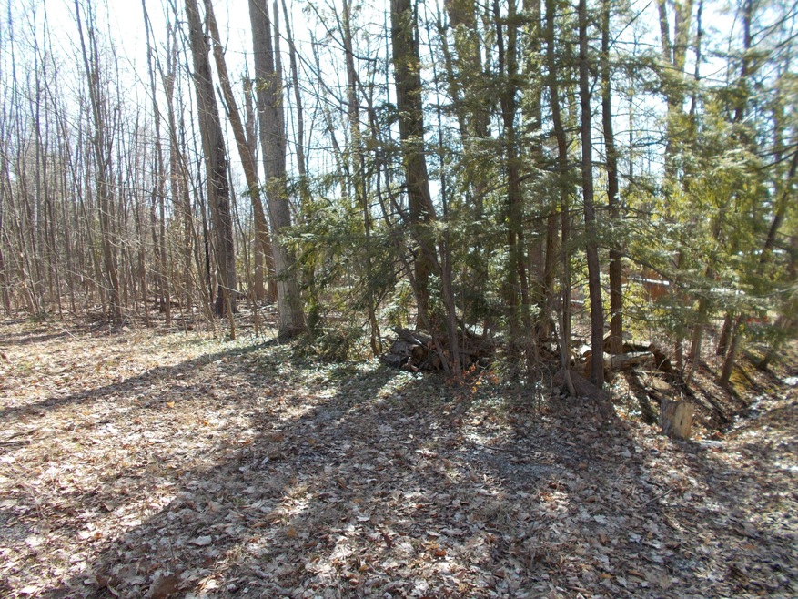 Lot View