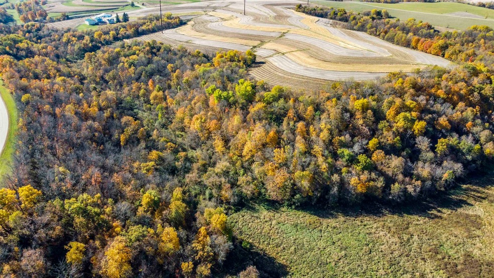 +/-46 Acres Bee Ln, Lancaster, WI 53813 - photo 1