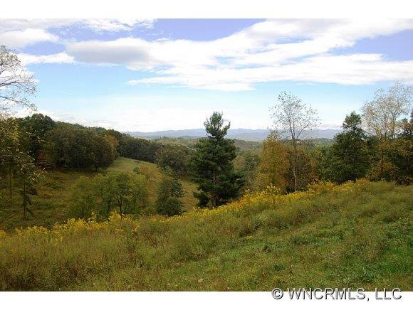 Ahhhh...View of Mt. Mitchell.