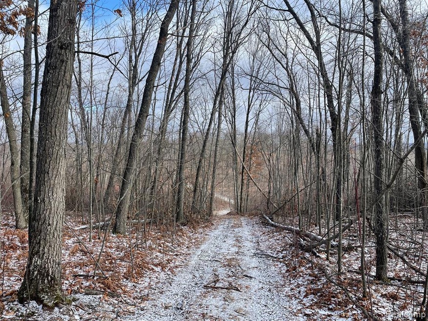 1110 Oak Ridge Cir, Rust Township, MI 49709 - photo 1