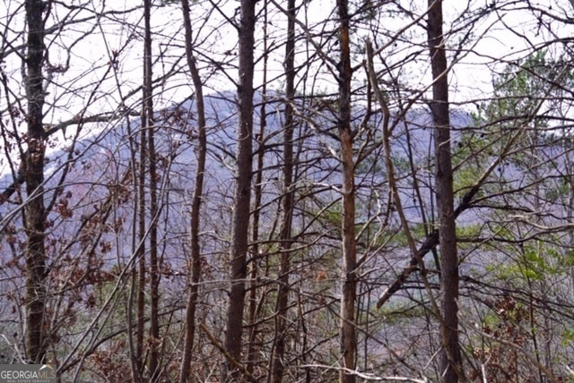 LOT # 21 Moon Cir, Sautee Nacoochee, GA 30571 - photo 1
