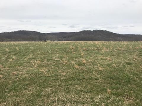 00 Cherry Creek Rd, Cookeville, TN 38506 - photo 1