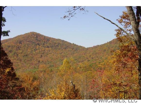 Pisgah Natl Forest Views