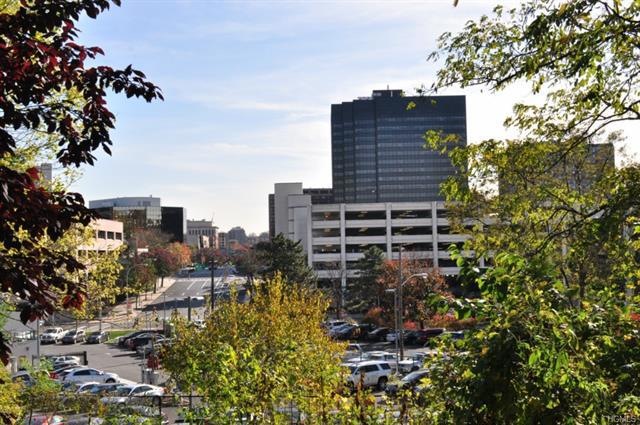 30 Hillside Terrace unit F, White Plains, NY 10601 - photo 1