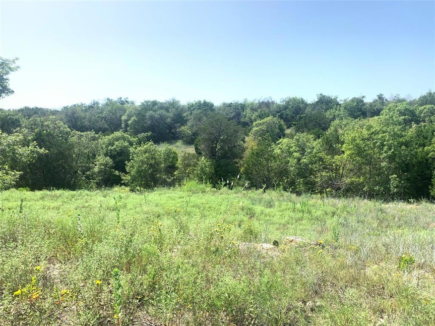 2104 Eagles Crest Ln, Brock, TX 76087 - photo 1