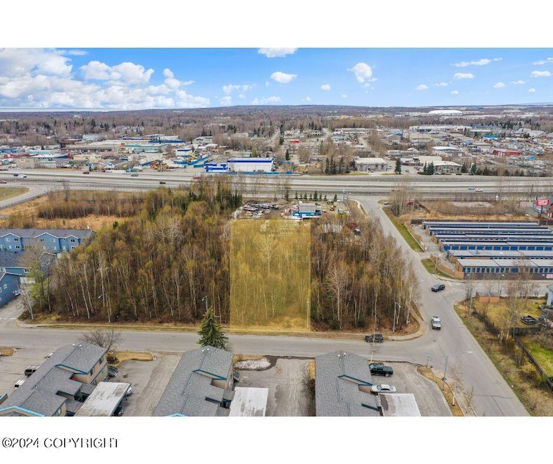 7210 Meadow St, Anchorage, AK 99507 - photo 1