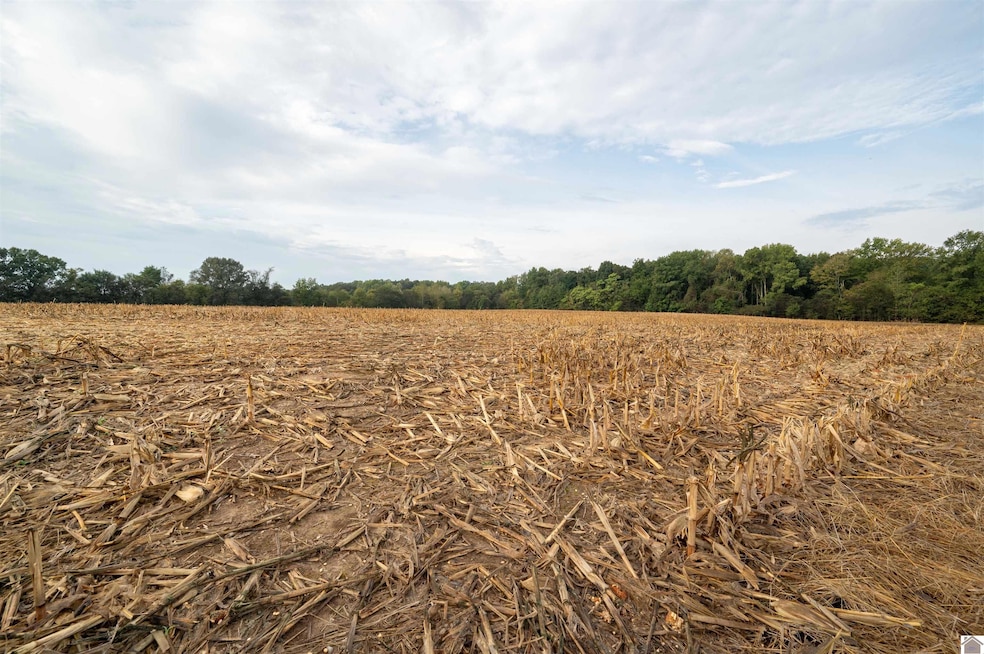 00 E State Line Rd, Hazel, KY 42049 - photo 1