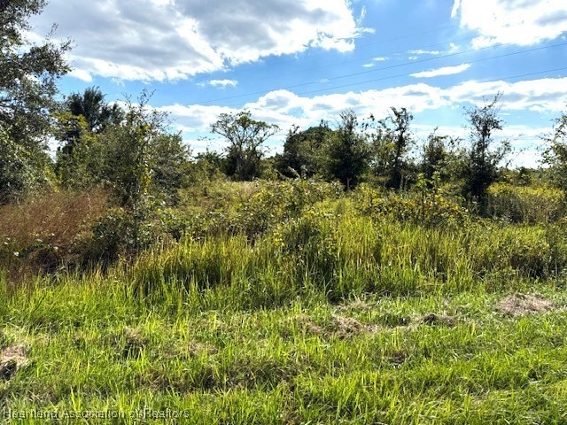 3313 W Jurgenson Rd, Avon Park, FL 33825 - photo 1