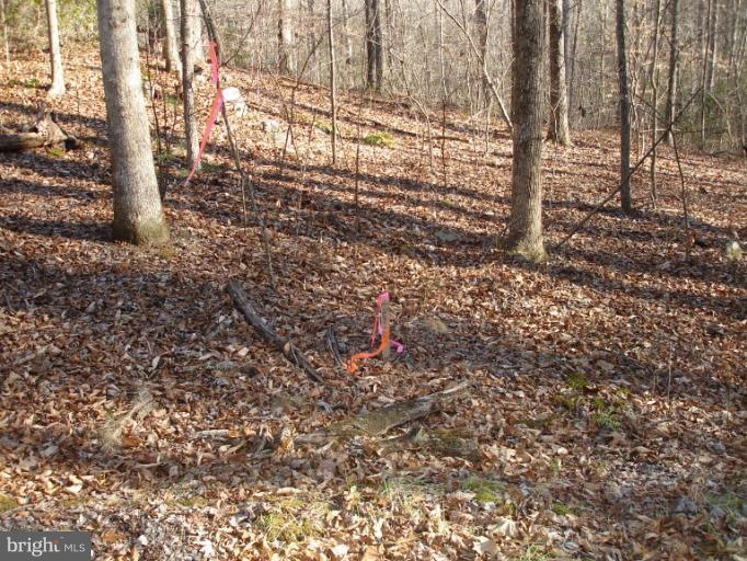 0 Curling Creek Ln unit 1003865754, Rixeyville, VA 22737 - photo 1