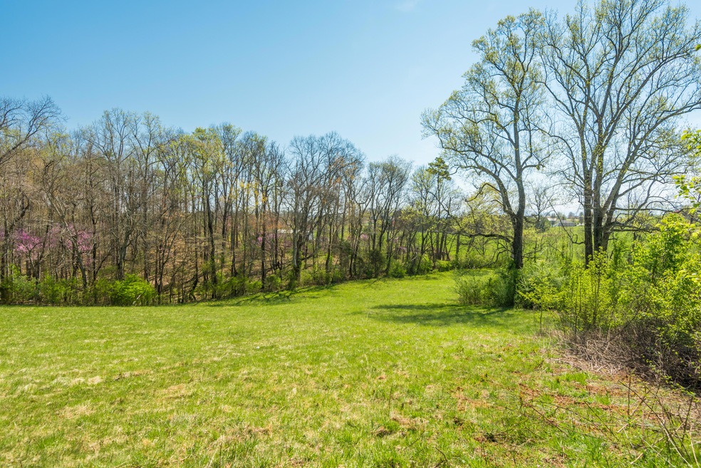 2106KingViewLoop-4