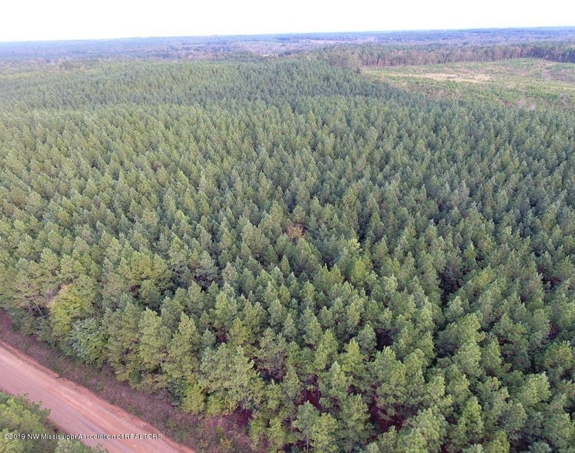 DCIM\100MEDIA\DJI_0106.JPG