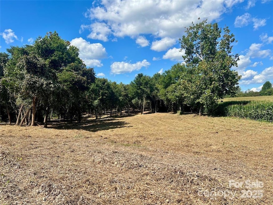 2095 Hattie Rd unit 3, Hamptonville, NC 27055 - photo 1
