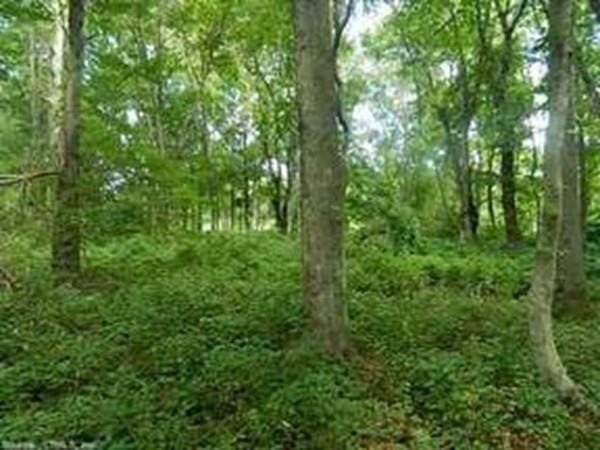 0 Blake Rd unit 71870394, Danville, NH 03819 - photo 1