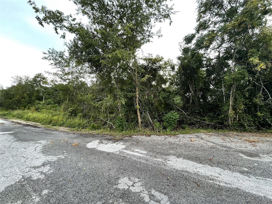 TBD Hickory Track Dr, Silver Springs Shores, FL 34472 - photo 1