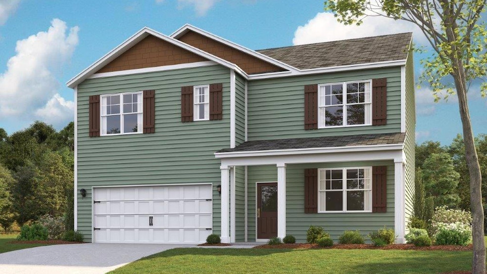 Hayden B Rendering