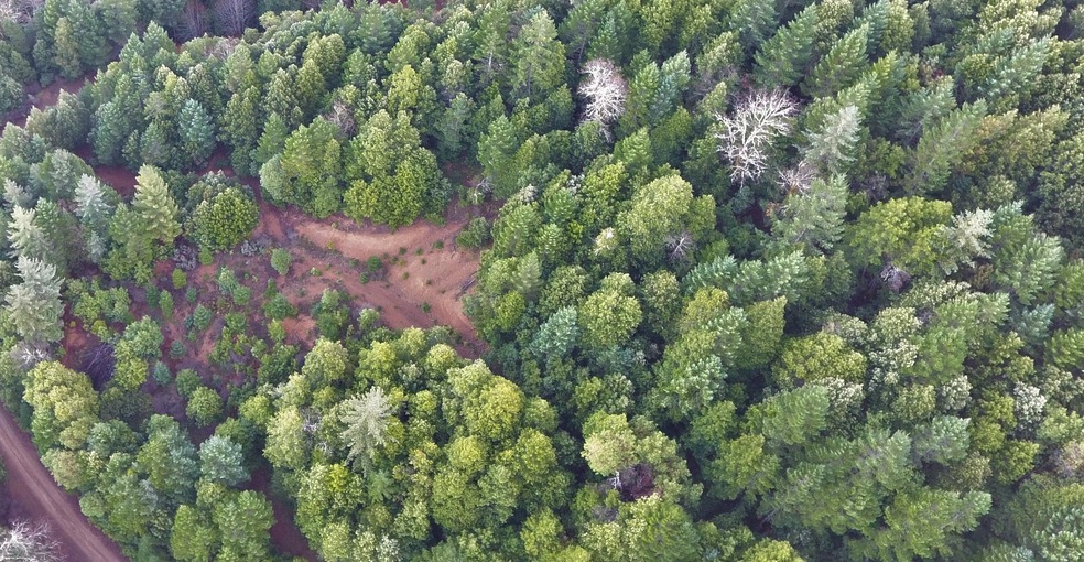 DJI_0187 (3)