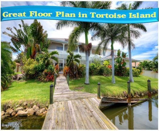 loggerhead