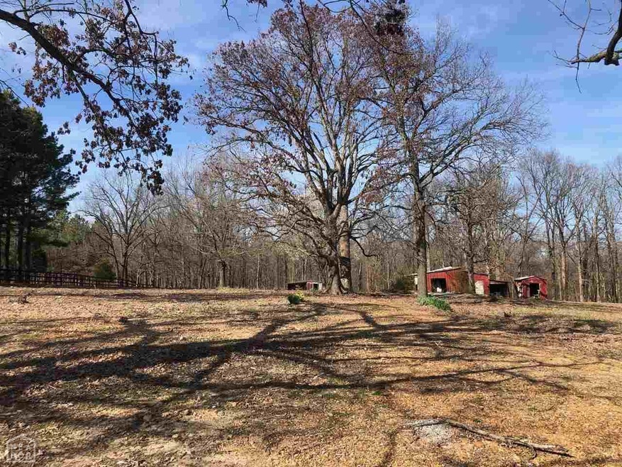 357 Cr 372, Bono, AR 72416 - photo 1