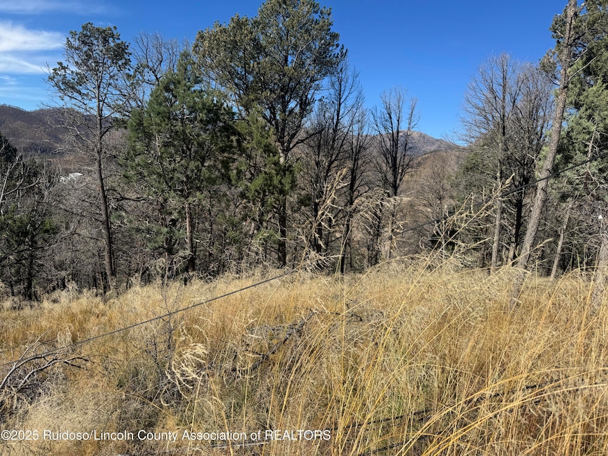 - Pine Shadow Trail, Ruidoso, NM 88345 - photo 1