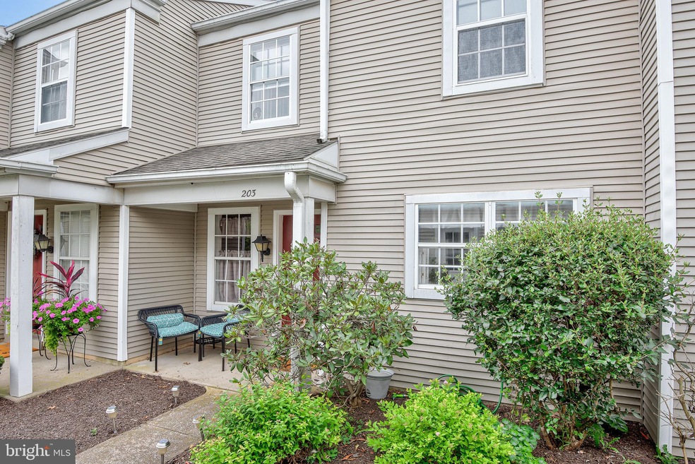203 Barrington Ct, Palmyra, PA 17078 - photo 1