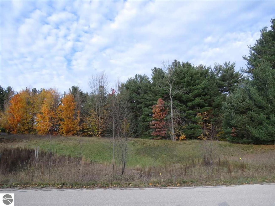 Lot 95 Eden St unit 95, Kingsley, MI 49649 - photo 1
