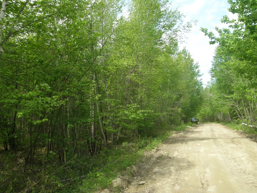 M10L4 Stone Bridge Rd, Garland, ME 04939 - photo 1