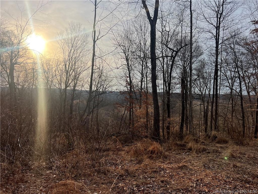 0 Hwy 135 unit Tract 2 2025011289, New Salisbury, IN 47161 - photo 1