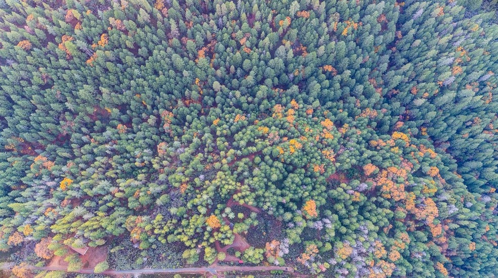 6917 Light Canyon Rd, Placerville, CA 95667 - photo 1