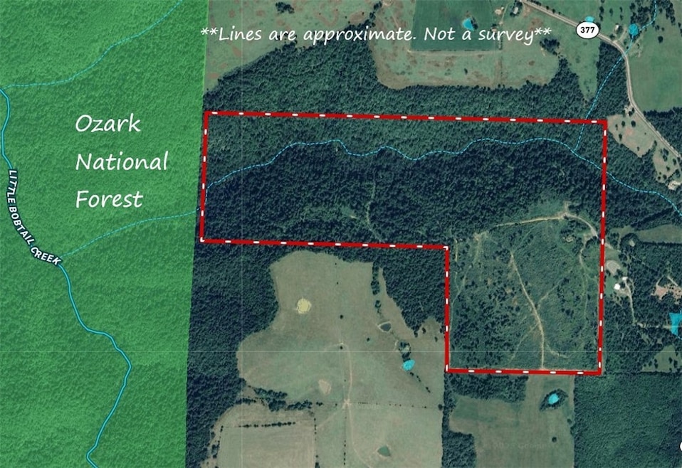 166 Acres Hwy 377, Marshall, AR 72650 - photo 1