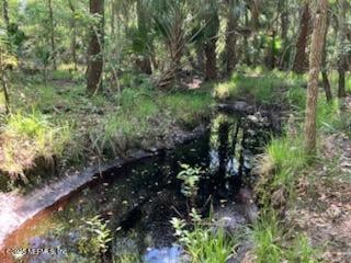 0220 Little Branch Tr, Interlachen, FL 32148 - photo 1