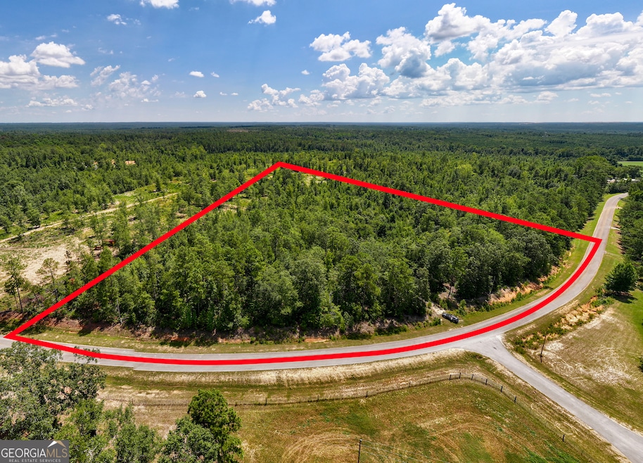 5 ACRES Clark-Reese Rd, Thomson, GA 30824 - photo 1