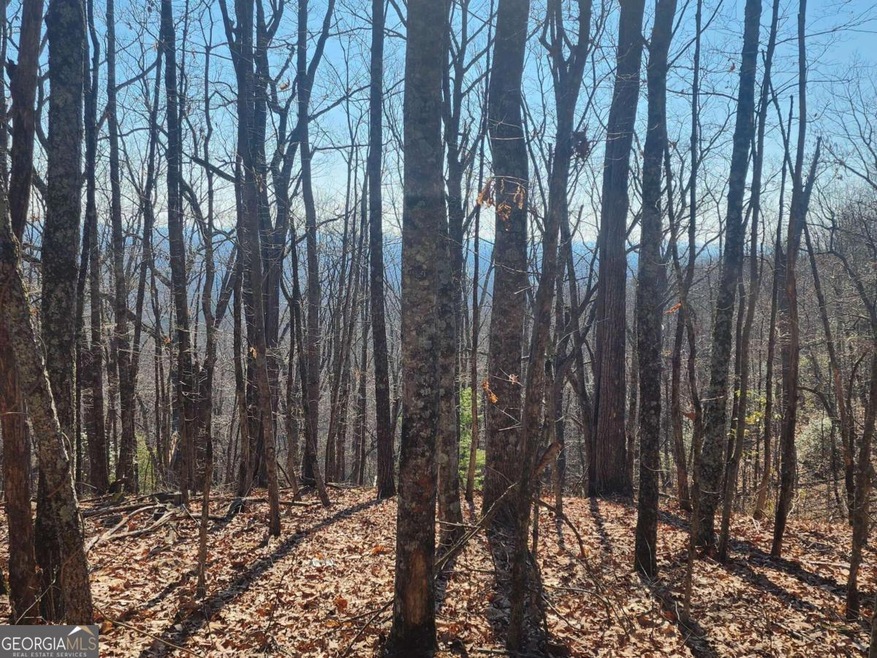 0 Ivy Mountain Rd unit 10256293, Clarkesville, GA 30523 - photo 1