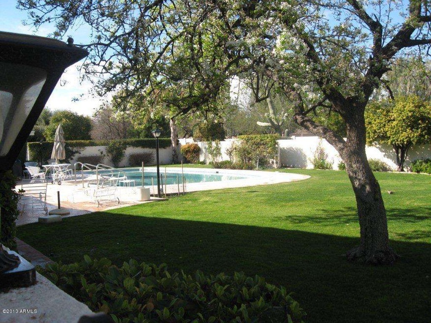 Back yard